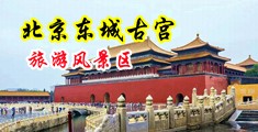 男的操女的屁眼黄色网站中国北京-东城古宫旅游风景区